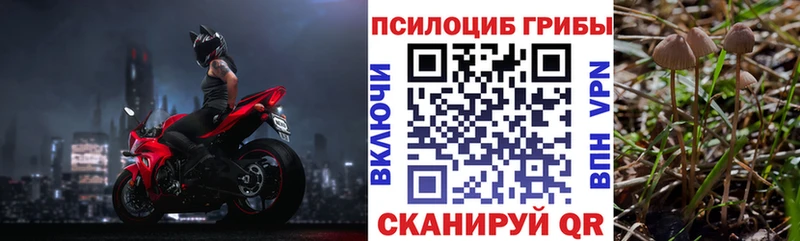 Псилоцибиновые грибы ЛСД Яхрома